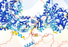 5 groundbreaking impacts of ai in protein folding: revolutionizing biology and medicine