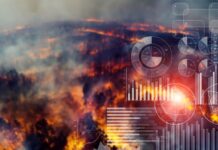 leveraging ai for effective disaster relief: case studies from the field