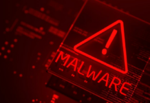 malware attacks exposed: 6 essential strategies to protect your network